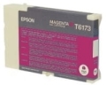 C13T617300-2184