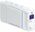 C13T44QD40-207903