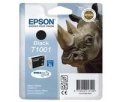 C13T10014010-2070