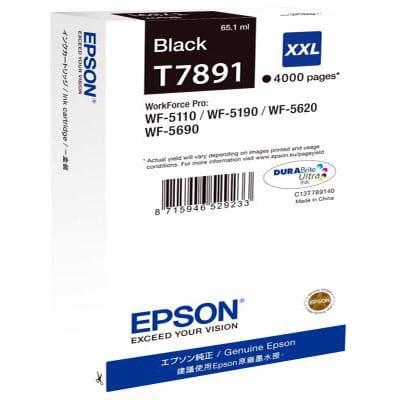 C13T789140-16063