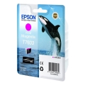 C13T76034010  1-28571