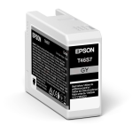 Tusz Epson T46S7 Grey C13T46S700 25 ml