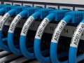 Patch panel network cables identified with TZe-SL251 self laminating labels.png